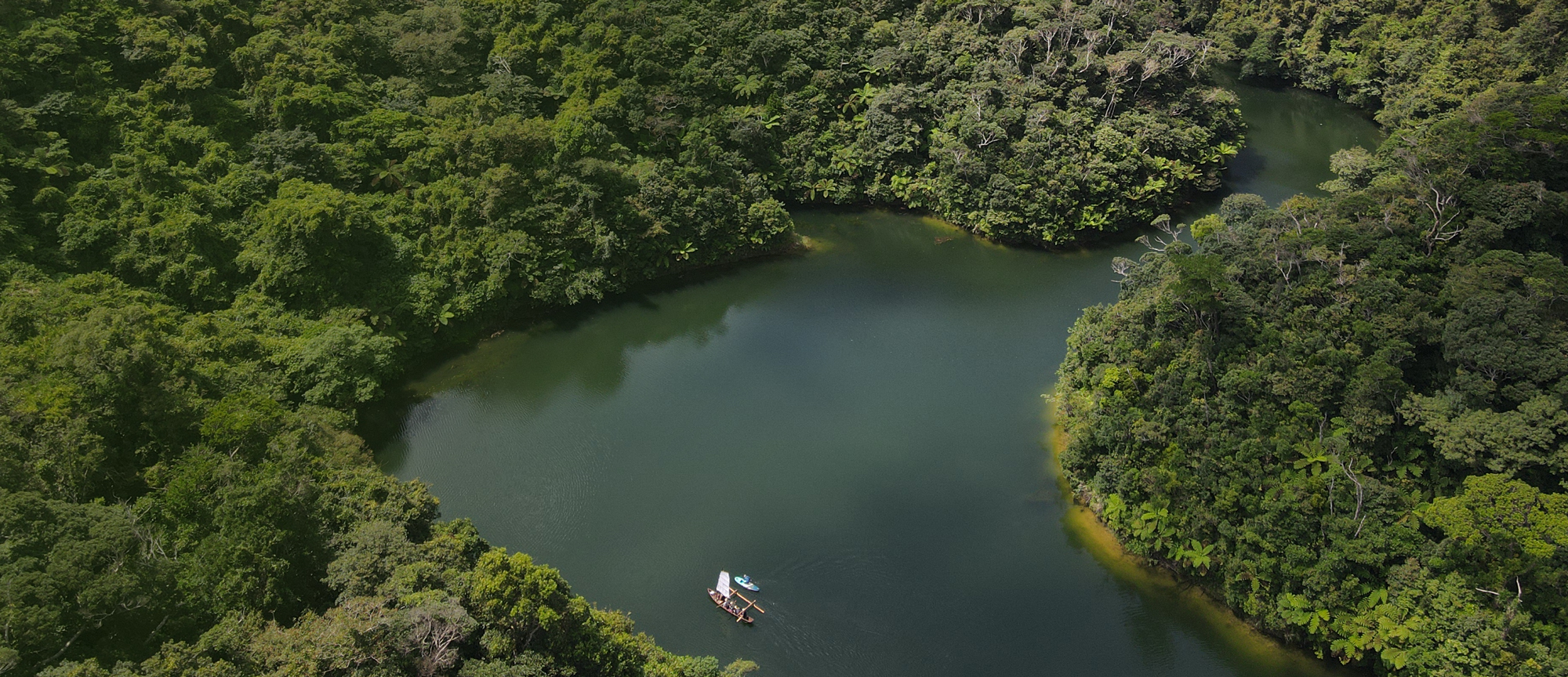 Aerial view of a forest lake in Yanbaru, Okinawa