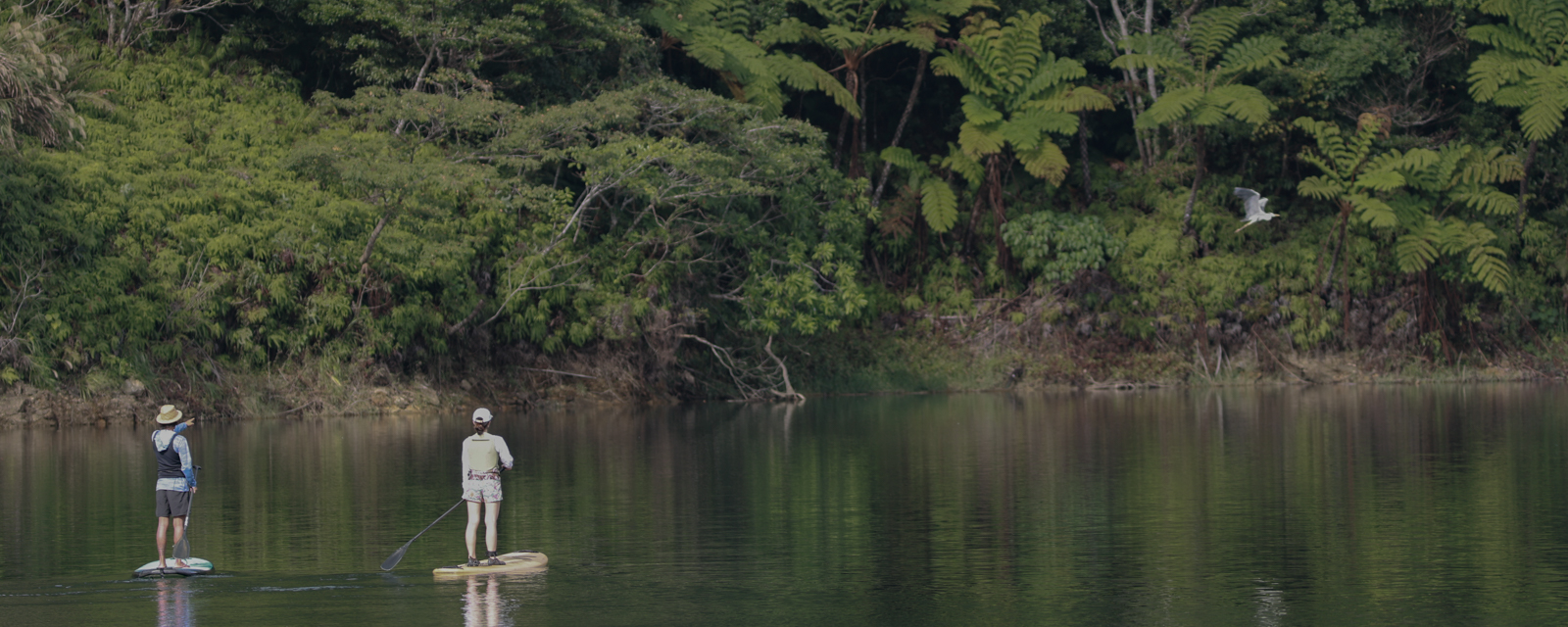Jungle SUP Akemio Lake
