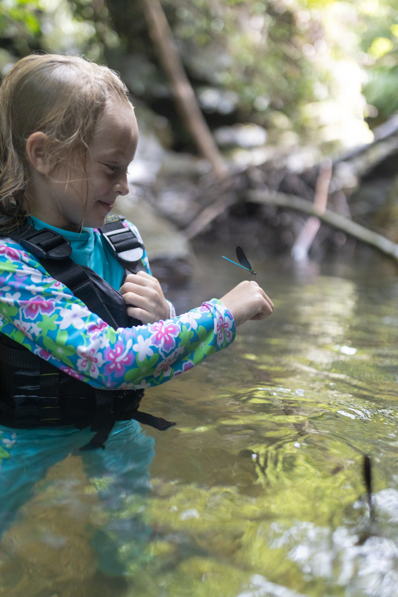 A child watching a damselfly resting on her hand